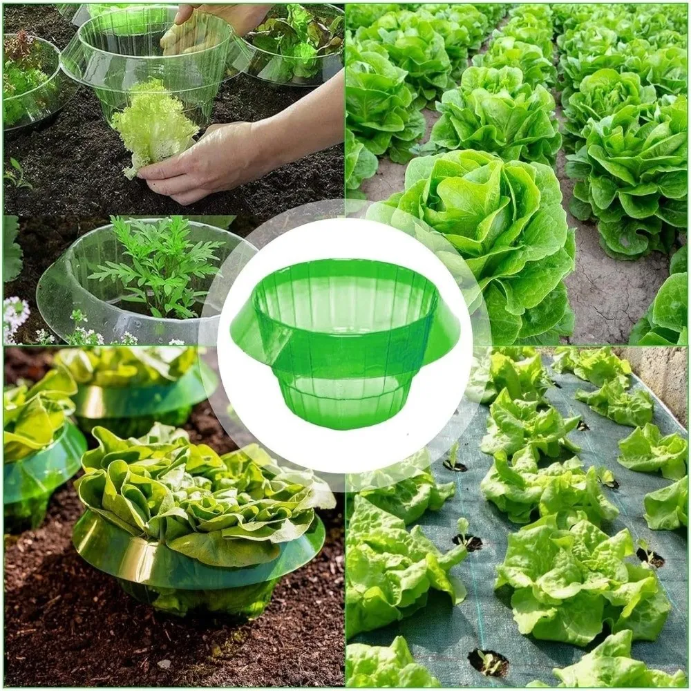 10PCS Plastic Vegetable Slug Collars Round Insect-Proof Slug Snail Protection Guard Bite Protection Barrier No Light Blocking