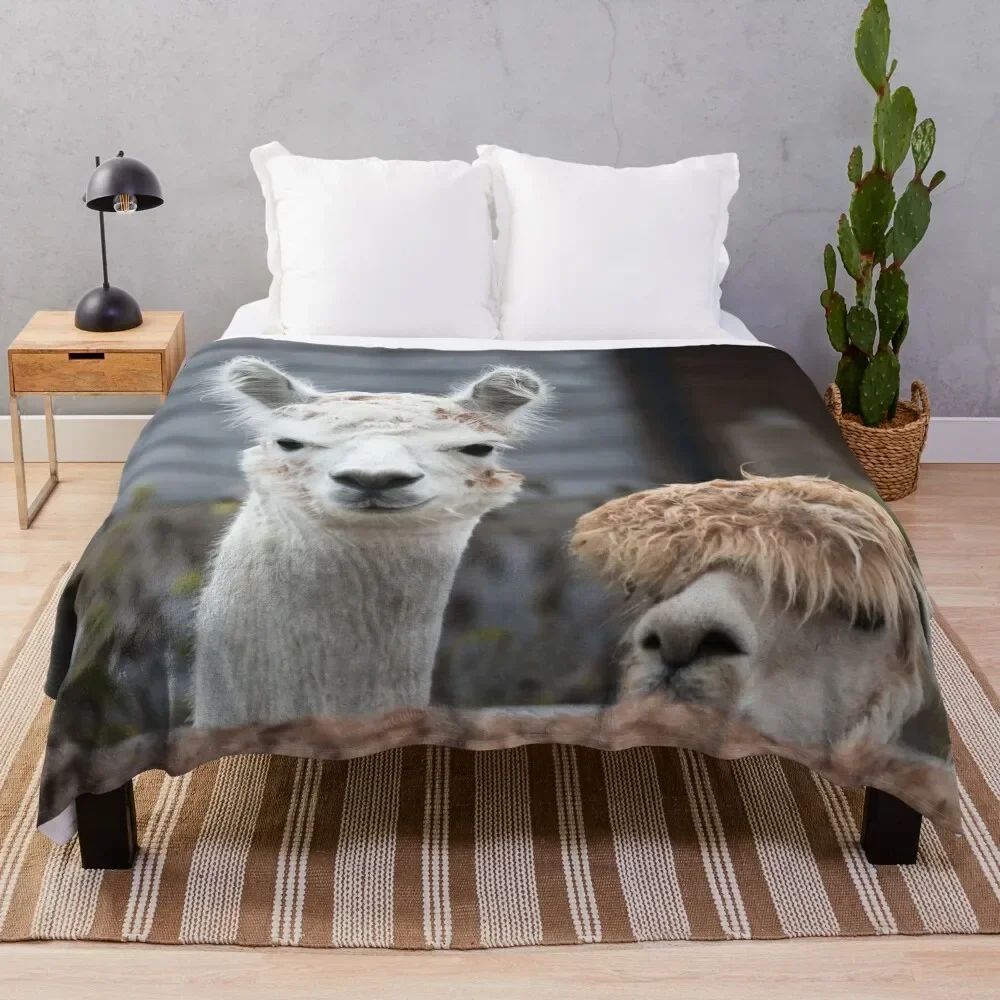 Curious alpacas cute animals Throw Blanket warm winter Furrys Warm Picnic Blankets