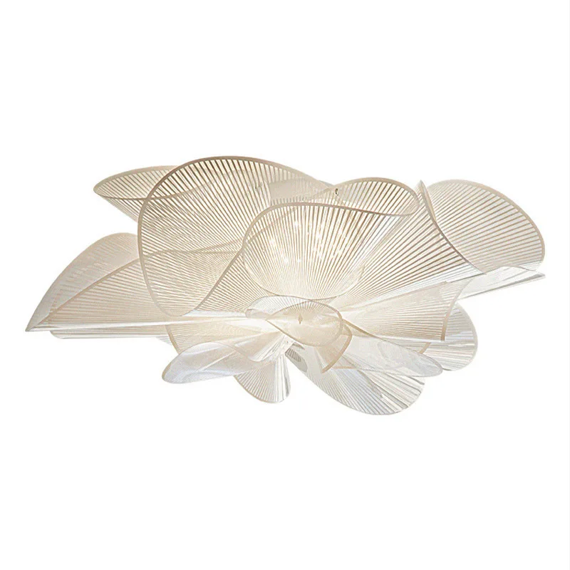 Living room ceiling light Warm master bedroom light