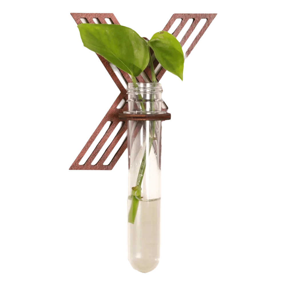 Wooden Hydroponic Planter Shelf Home Ornaments Vase Wall Decoration Retro Hollow Out Wall Mounted Planter Home Decoration