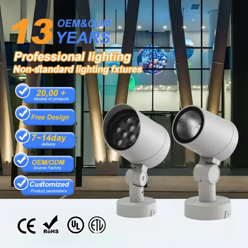 Heavy Quality Warm White AC220V 3W IP65 Remote Control High Bright Warehouse LED Flood Light for Grey Aluminum Body