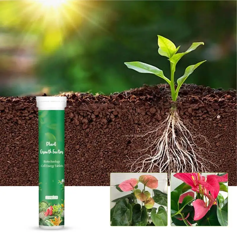 

Plant Food Tablets Universal Slow-Release Nutrient All Purpose Plant Fertilizer 22pcs Plants Growth Enhancer Gardening Accessory