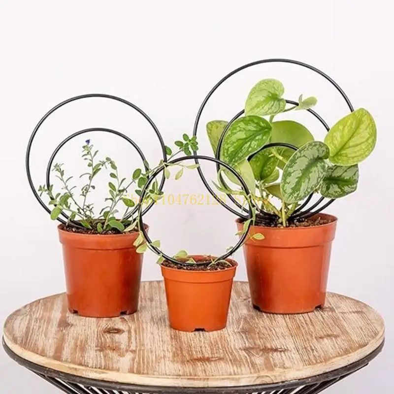 3Pcs Circular Trellis for Potted Plant for Climbing Plant Stackable Plant best sale