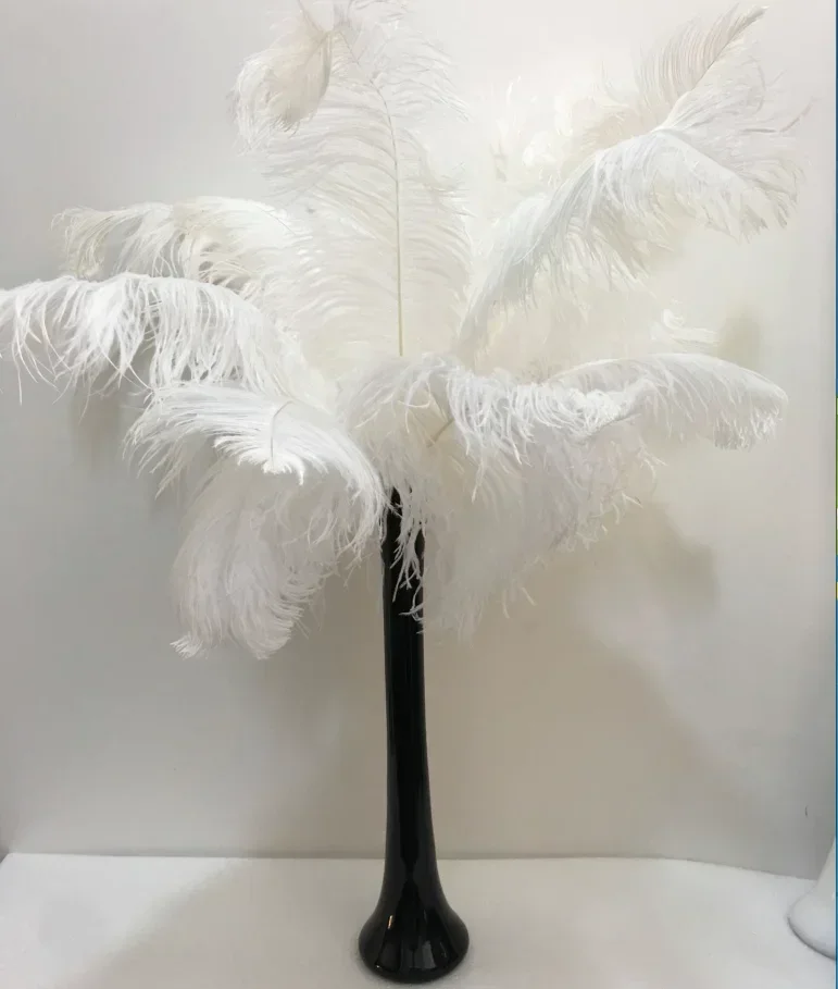 

-Feather inserted white vase glass slender modern minimalist living room porch home decoration ostrich hair black flower ware