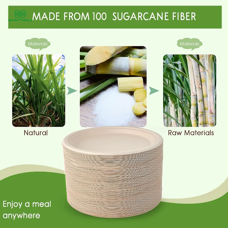 Biodegradable Bagasse Plates - 50 Pack of 22.5cm Round Paper Plates for BBQ, Parties, Dinner, and Picnics