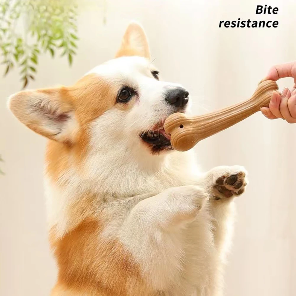 Kimpets Bite Resistant Pet Dog Chew Toys For Pet Cat Molar Teeth Clean Stick Interesting Pine Wood Cute Bone Shape Durable Toy