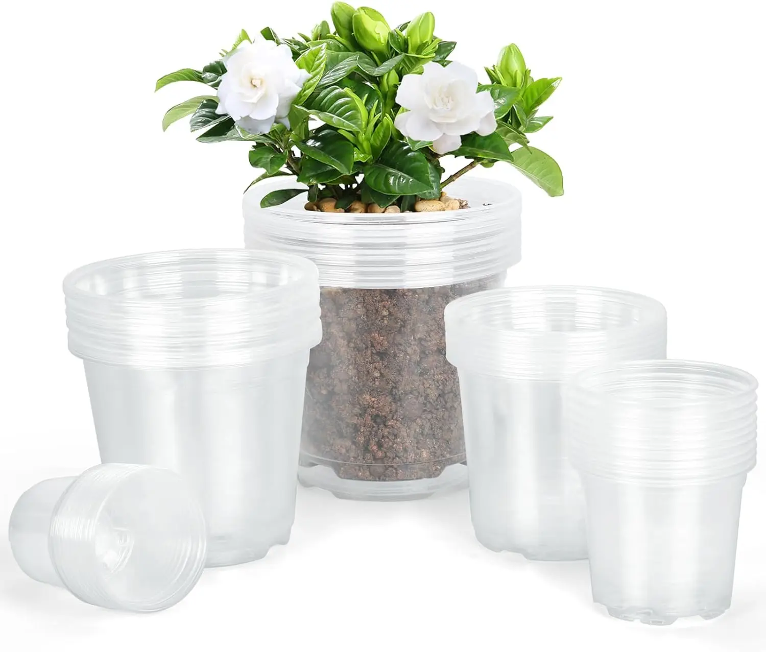 

45 Pack 7/6/5/4/3 Inch Clear Nursery Pots for Plants, Clear Plastic Plant Pots with Drainage Holes, Transparent Variety