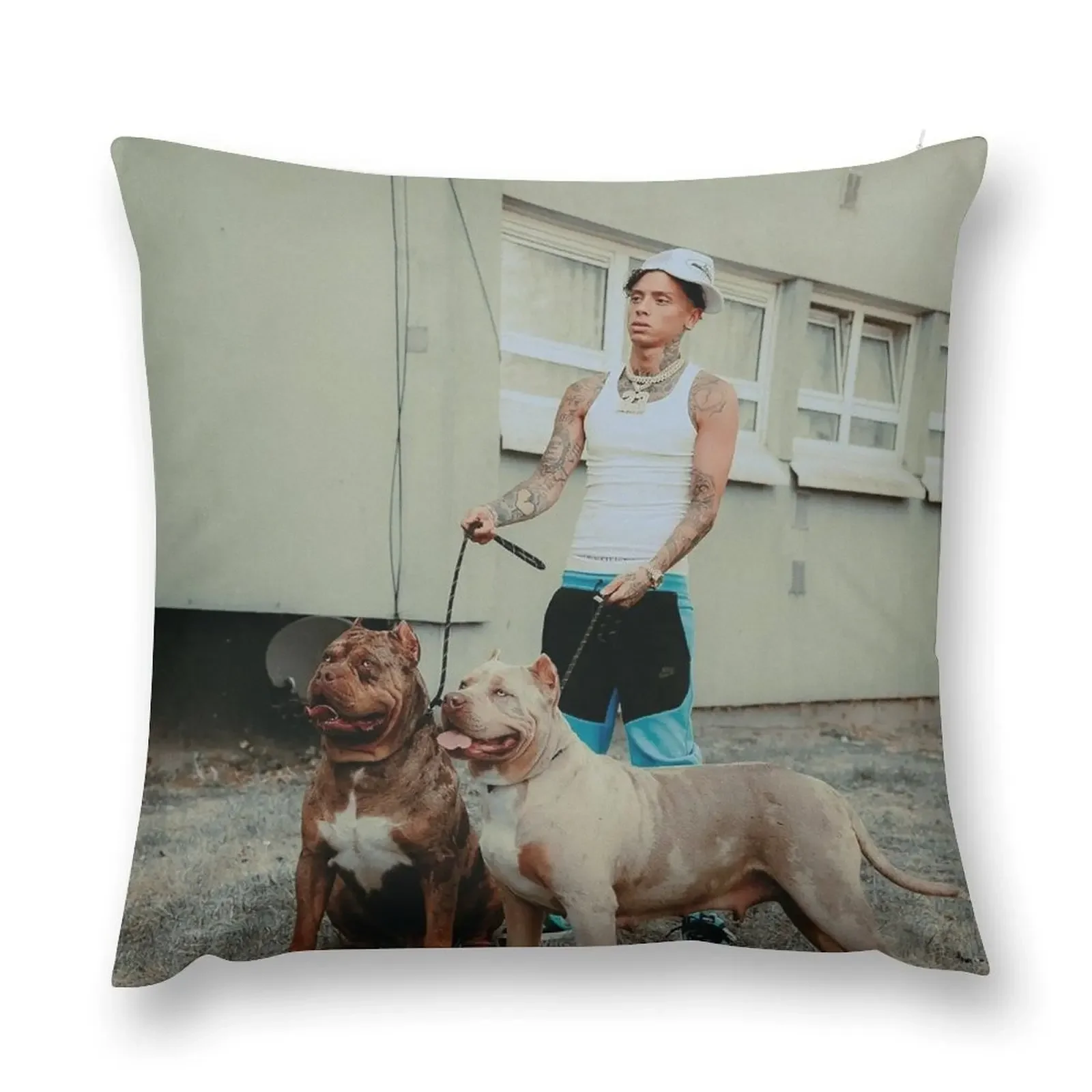 Central Cee - Doja Cat Throw Pillow christmas ornaments 2025 Cushions Cushions For Sofa pillow