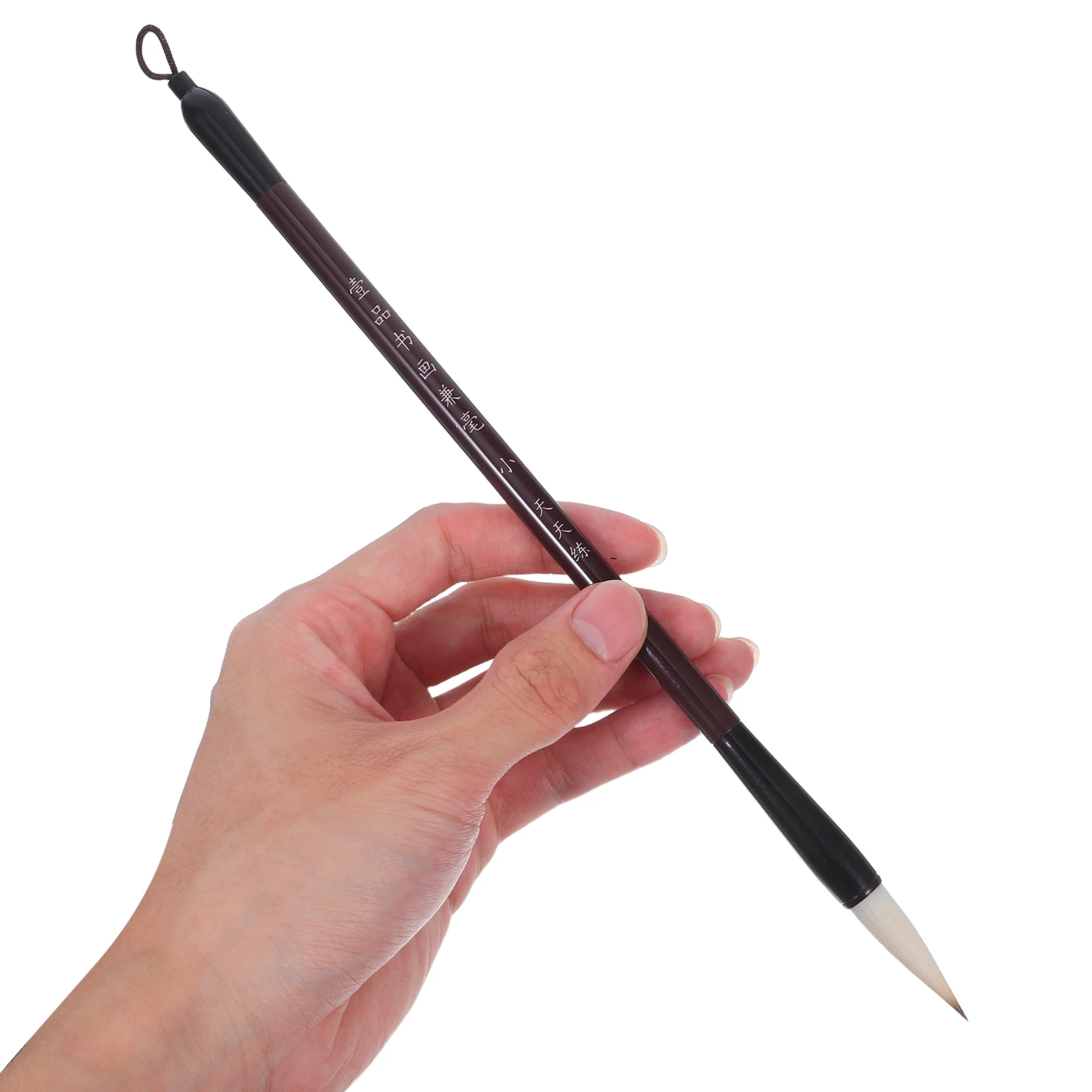 

10Pcs Chinese Calligraphy Brushes Solid Wood Handle Smooth Ink Flow for Beginner Student Practice Drawing Painting Calligraphy