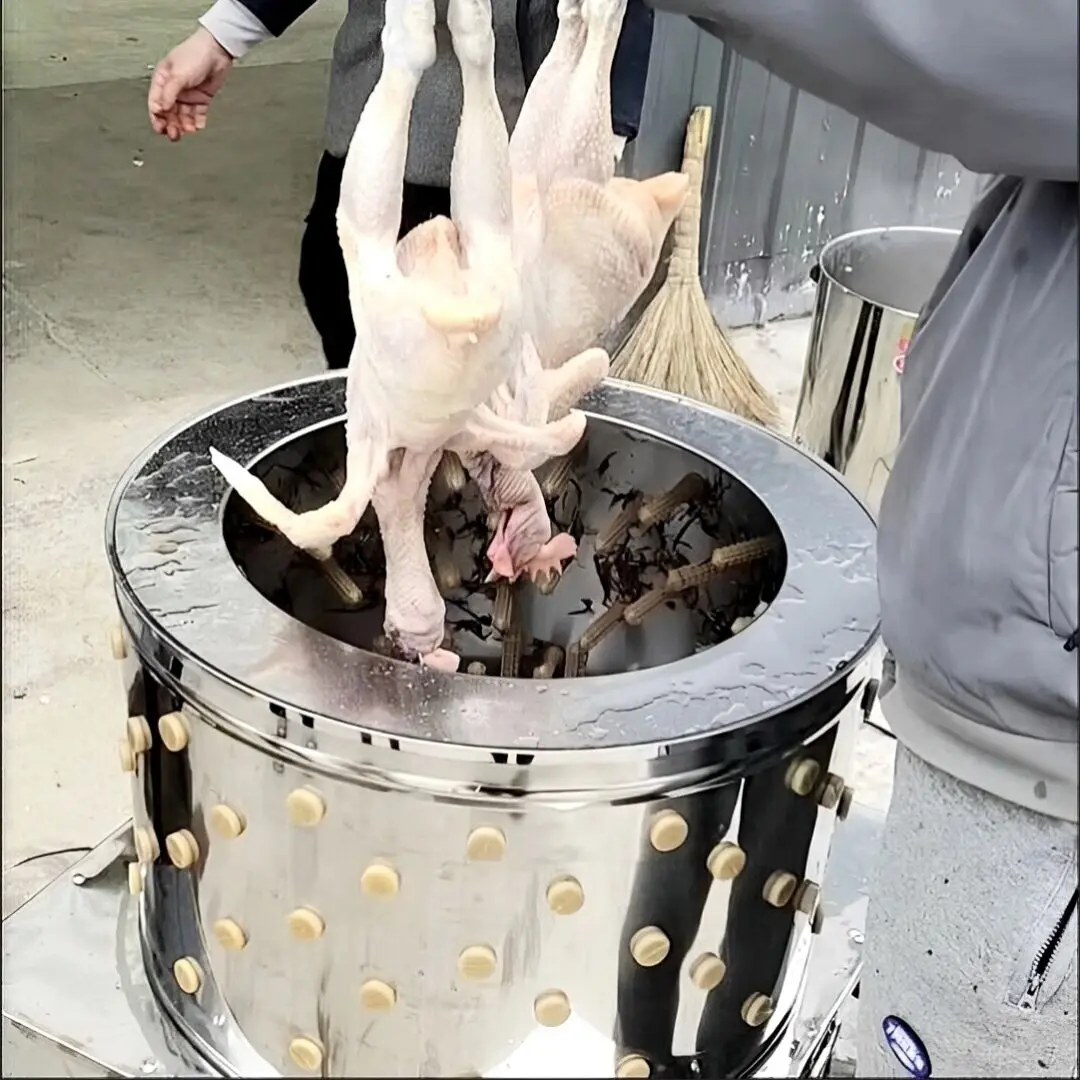 Poultry Hair Remove… - image