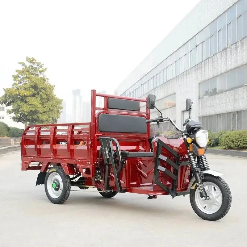 China Produce Motored Tricycle Cargo 1200w 1000w Cargo Electric Tricycle Safety Popular Electric Cargo Tricycle 3000w