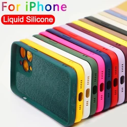 Liquid Silicone Soft Case for IPhone 15 14 13 11 12 Pro Max Mini X XR XS 7 8 Plus SE 2020  Full Lens Protection Cover