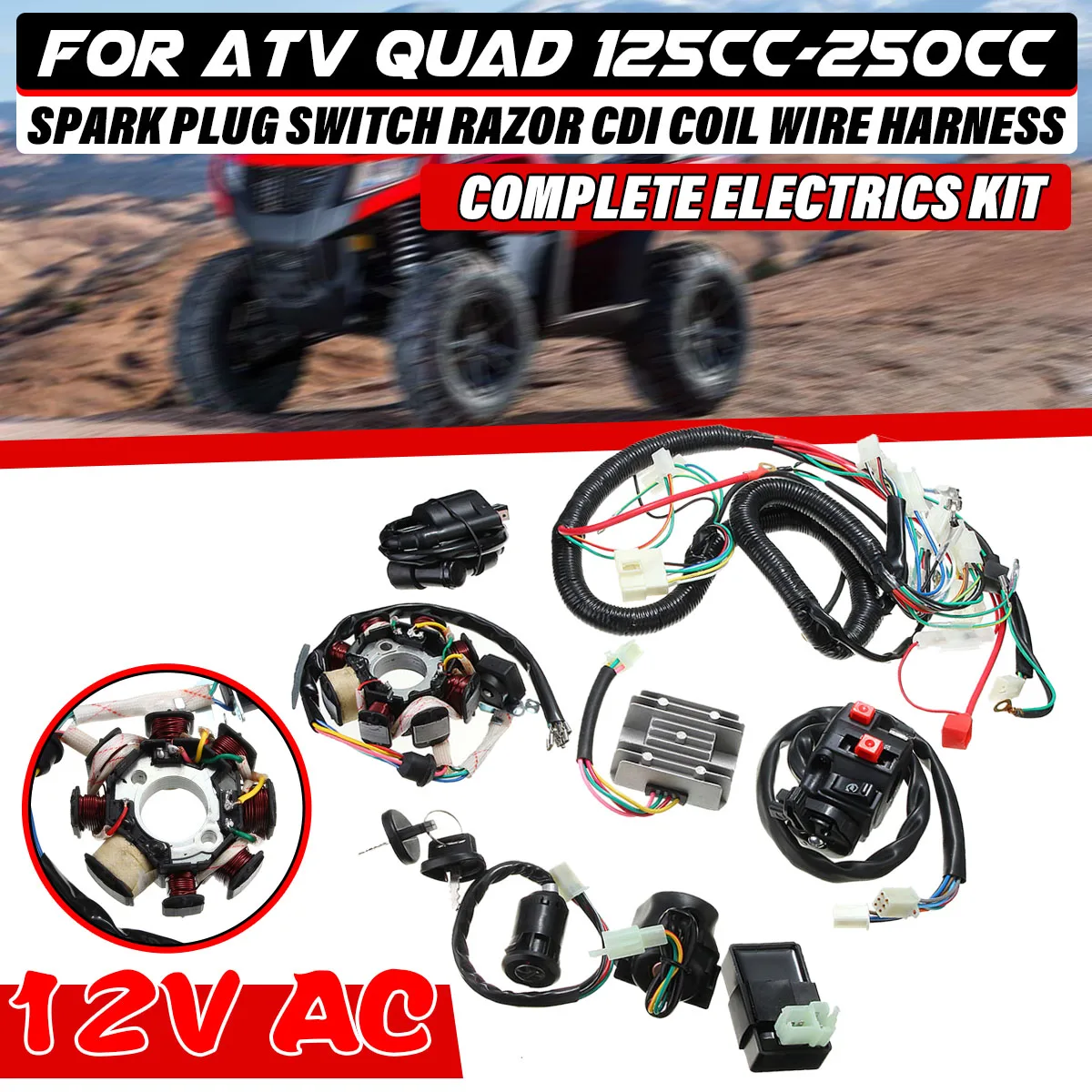 125cc 150cc 200cc 250cc Dirt Bike ATV QUAD ELECTRICS Zongshen Lifan Ducar Razor CDI Wire Harness Stator Assembly Wiring