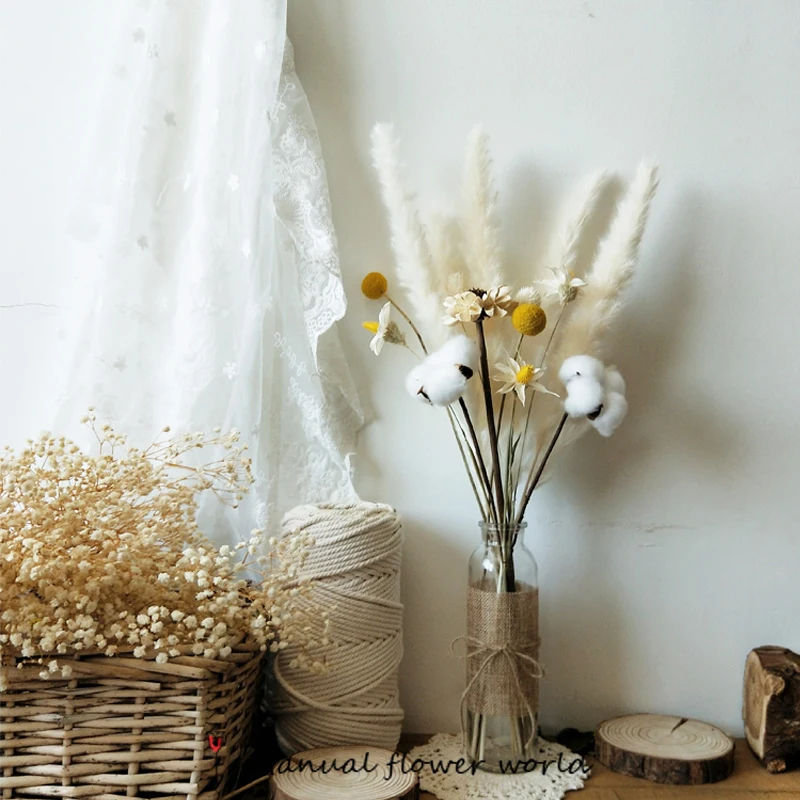 Dried Reed Small Pampas Grass Natural Flowers Decoration Bouquet Arrangement Wedding Party Decor For Home Table Dried Pampa