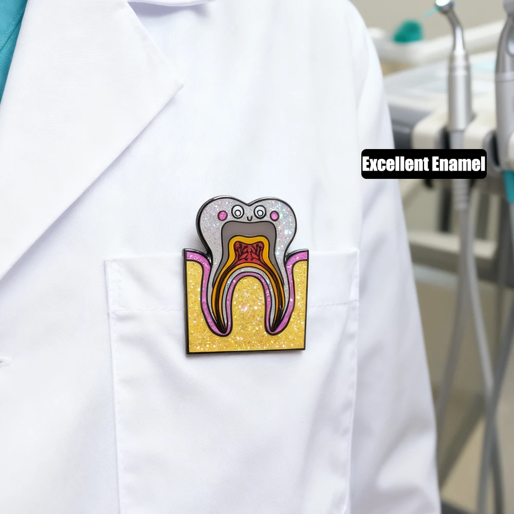 Lovely Tooth Anatomical Enamel Pin Medical Dental Dentist Brooch Excellent Material Jewelry for Doctor Nurse Lapel Badge