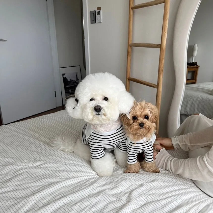 

Maltese Couple Dresses Pet Dog Summer Skirt Bichon Frise Vest Teddy Striped Dress Cute Pet Supplies XS-XL