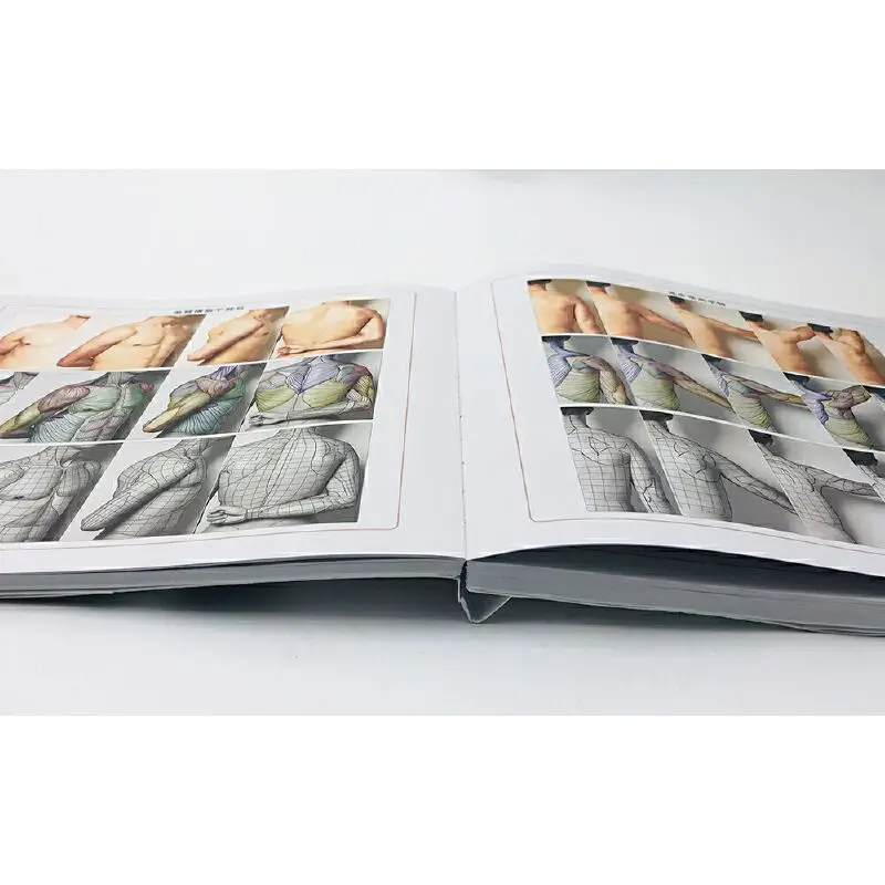 Artistic Anatomy of the Human Body (Essential Edition) Dangdang