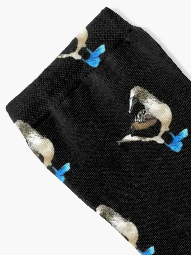 The Blue-Footed Booby Socks Hiking boots winter sheer Socks Women's Men's