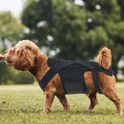 Tirante trasero transpirable para perros, cómodo brazalete trasero para mascotas para Protector de espalda IVDD, ayuda a la recuperación de lesiones y rehabilitación S/M/L