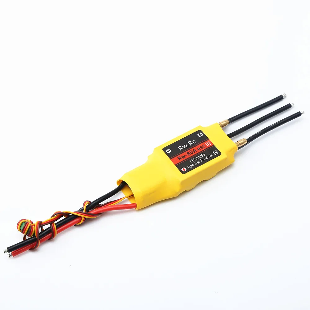30A 50A 70A 80A 125A 200A ESC senza spazzole raffreddato ad acqua con ESC impermeabile di retromarcia per RC Car RC Boat