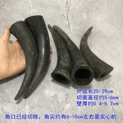 Yak Skull Raw Material Black ox Horn, Hollow segment Material, Cut Off Pointed Hollow Horn Ink, Tibetan Area