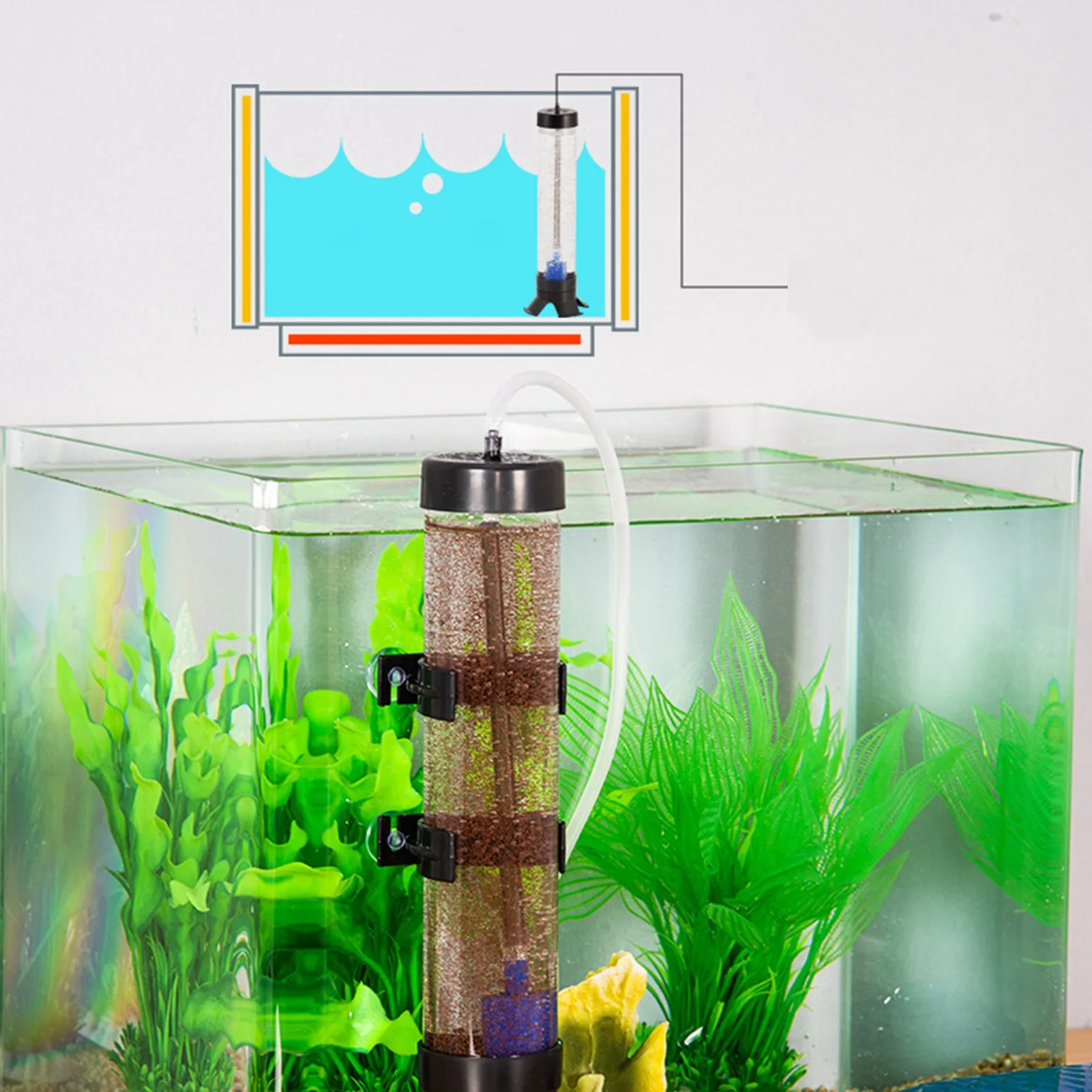 

Aquarium Brine Shrimp Eggs Incubator Fish Feed Fairy Egg Artemia Alive Hatch Kit For Water Tank Equipment Eggs Hatcher