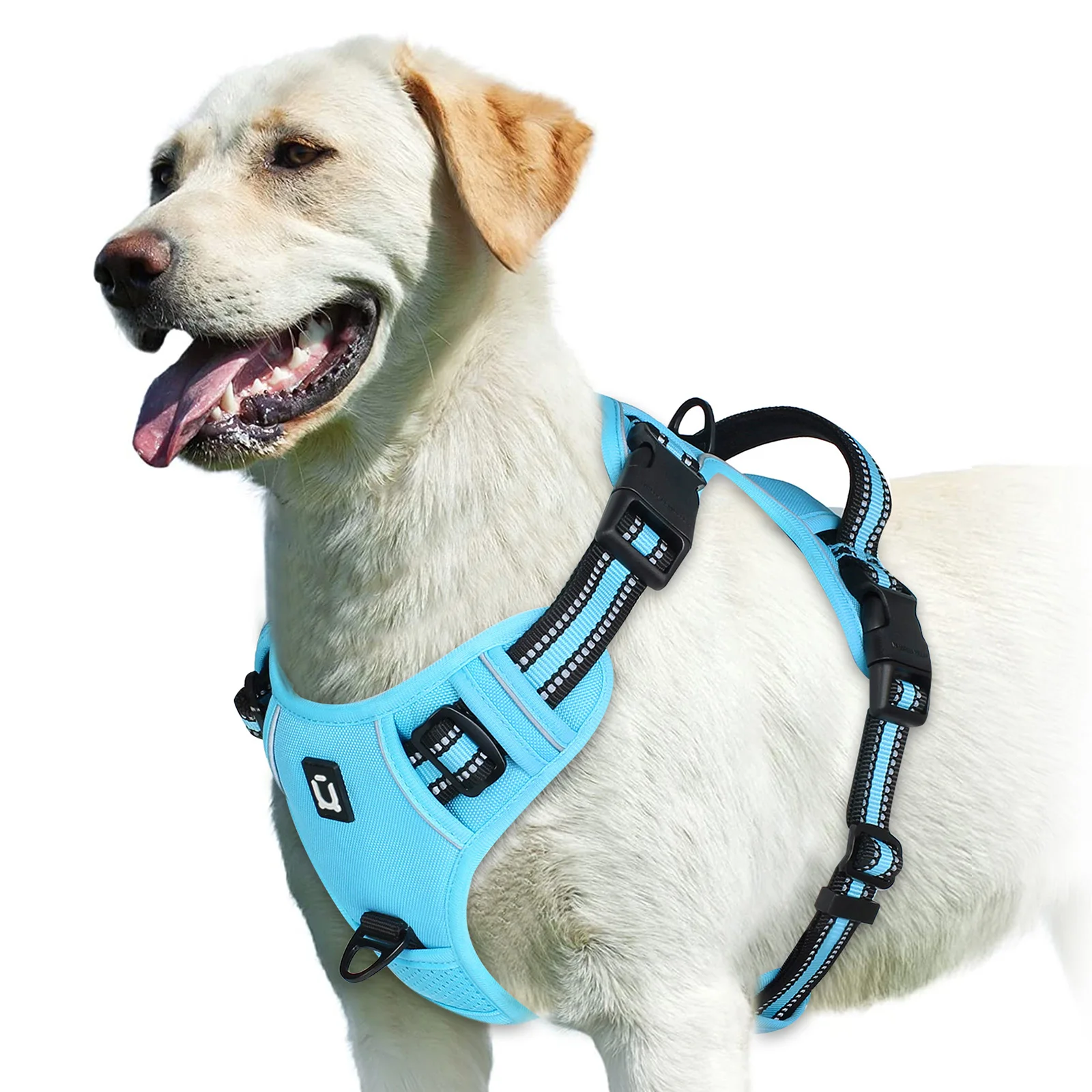 Walk Easy harness in Sky Blue