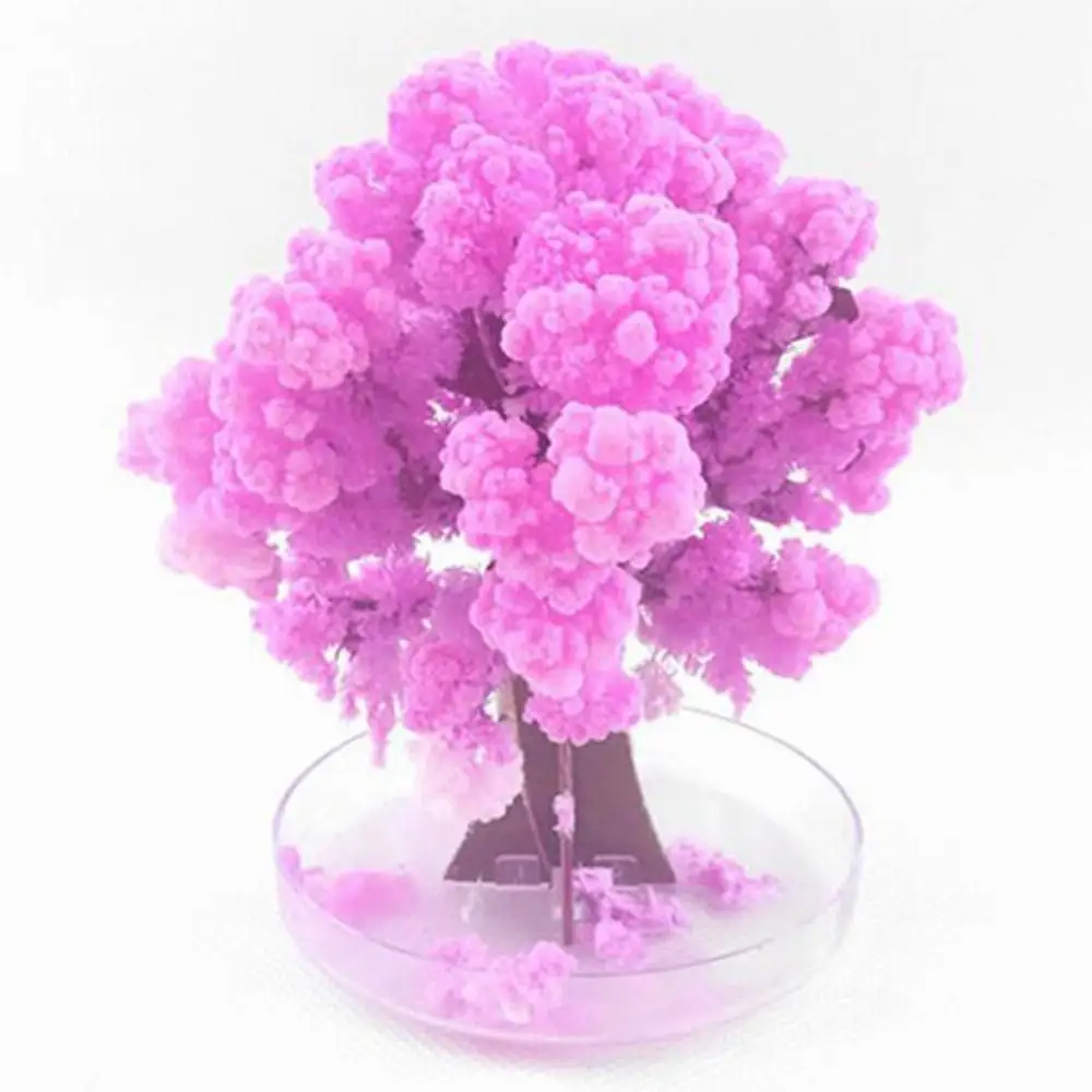 

1 PCS 2024 90x80mm Pink Magical Paper Sakura Flower Crystals Trees Magic Growing Tree Japan Desktop Cherry Blossom Science Toys