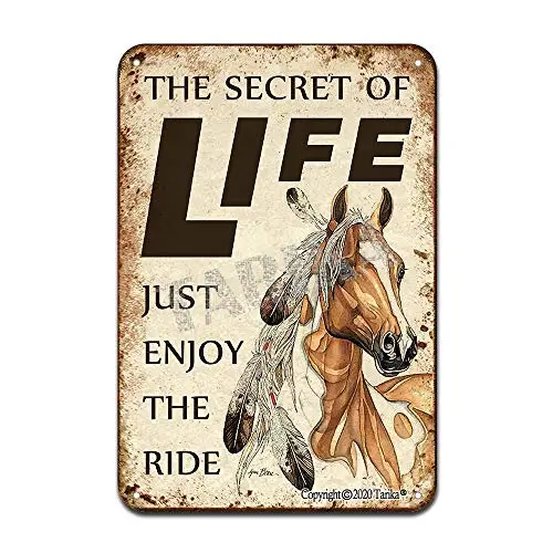 The Secret of Life Just Enjoy The Ride Iron Poster Painting Tin Sign Vintage Wall Decor for Cafe Bar Pub Home Beer Decoration Cr