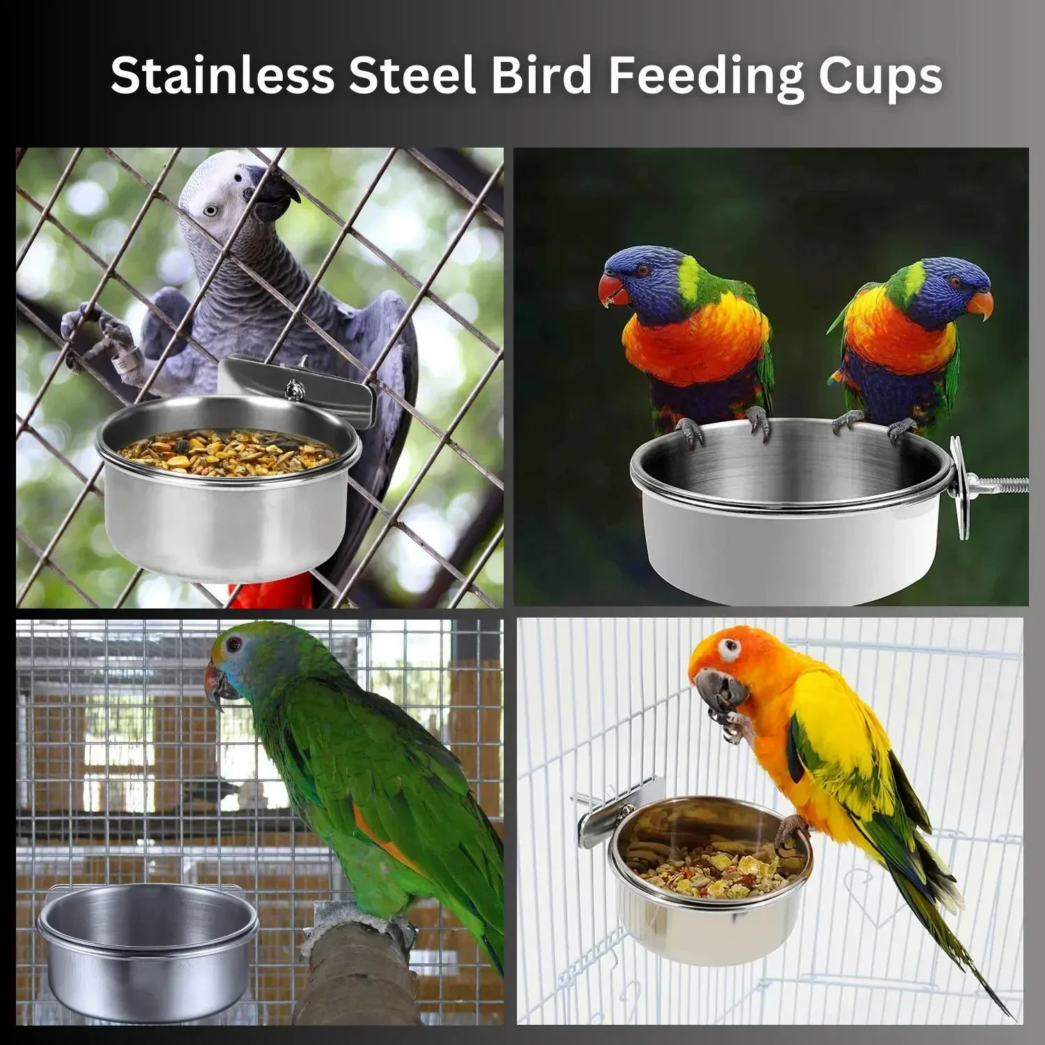 LMZOE สัตว์ขนาดเล็ก Parrot ถ้วยให้อาหาร BIRD Feeder จานสแตนเลสที่ถอดออกได้น้ําดื่มชามอาหารพร้อม CLAMP Holder