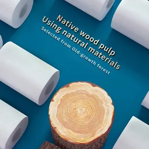 Ausgelassenes Laminatpapier für die kommerzielle Toilette, Familienaggregate und Werbung, Papiertücher, 5 Schichten, 8 Rollen 6 Hauptverkaufsjournalpapier - №5