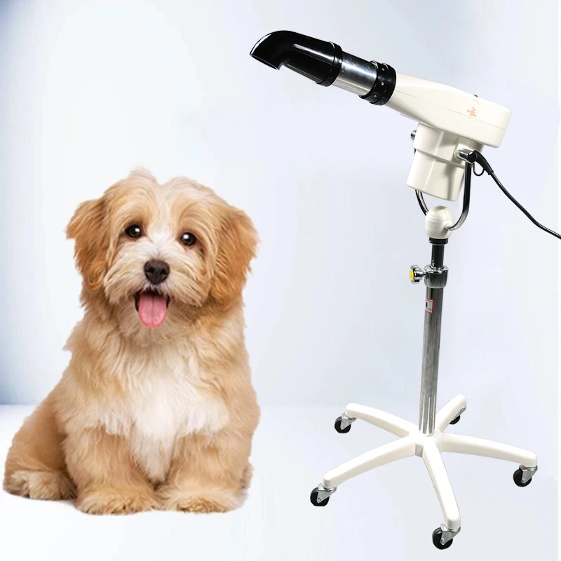 

CHAOBA 2400W Pet Dryer with Stand 2-in-1 Blaster Pipe for Pet Grooming Salon Strong Power Dog Grooming Tool
