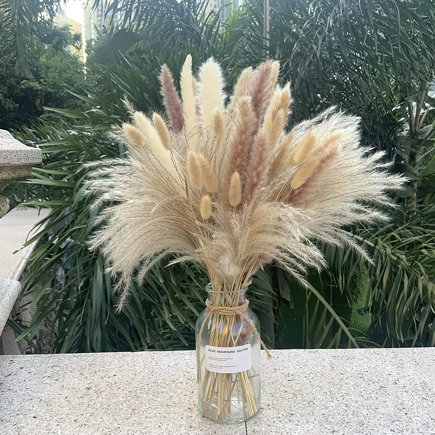 80pcs Herbe de la Pampa Naturelle Fluffy Pampas Dried Flowers Bouquet Home Decor Bunny Rabbit Tail Grass Wedding Party Decor