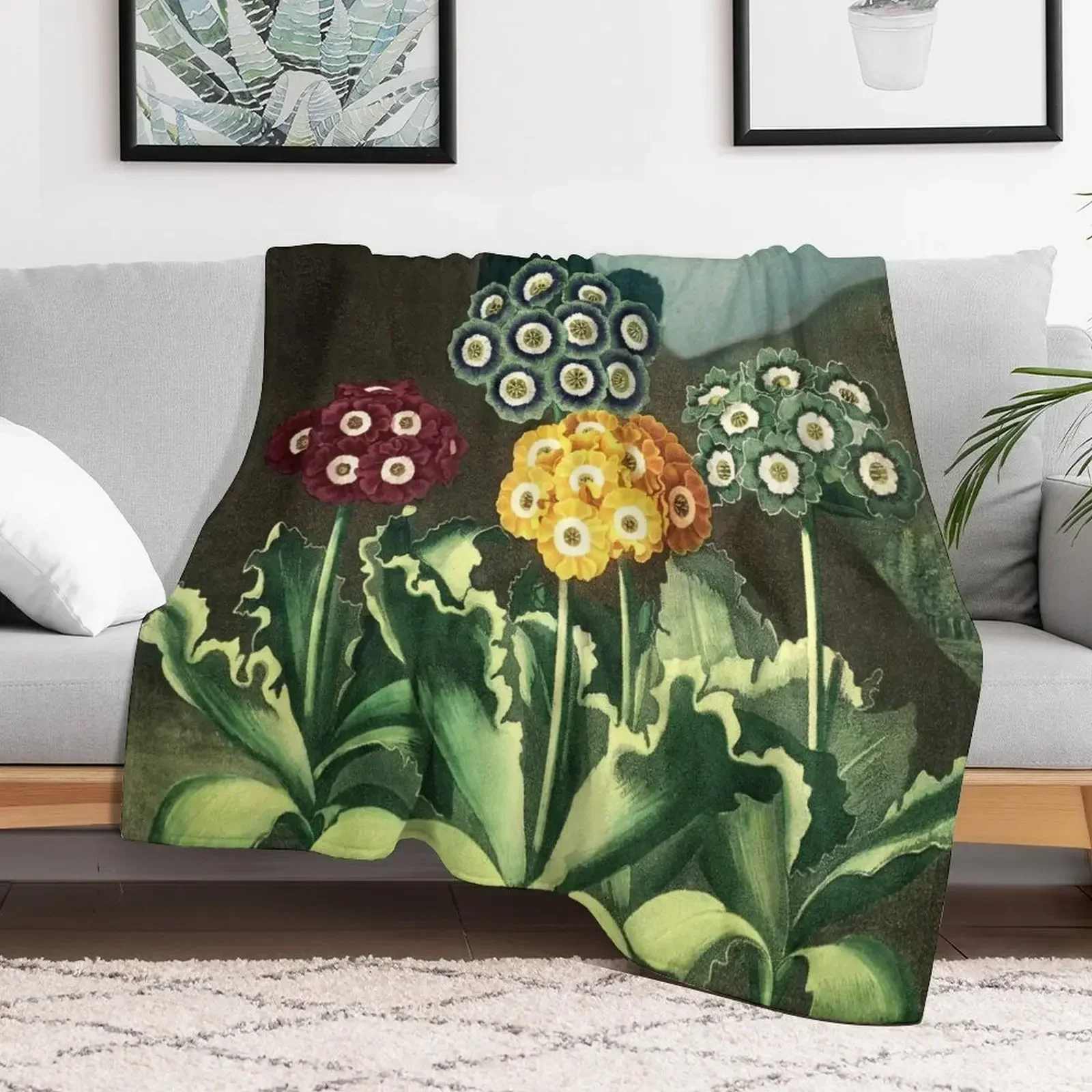 Colorful Auriculas - The Temple of Flora Botanical Throw Blanket christmas gifts Flannels warm for winter Thermal Blankets