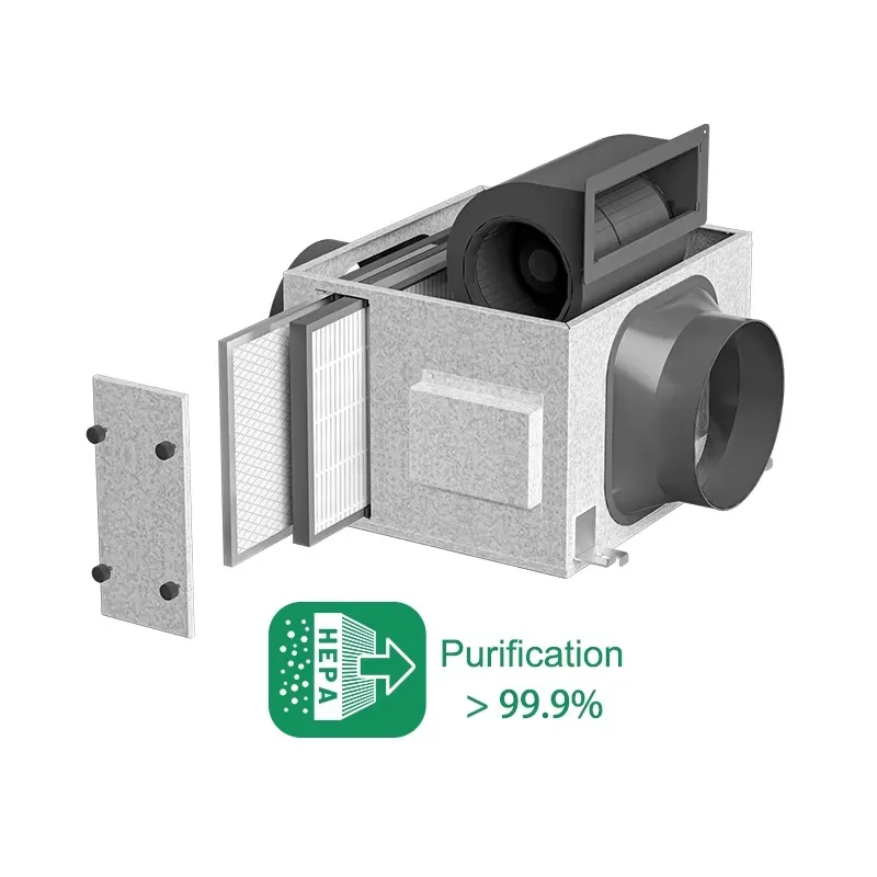 Dse-Vipo Mev Mechan…