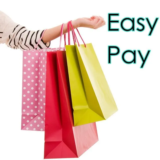 

Remote Easy Pay for Online