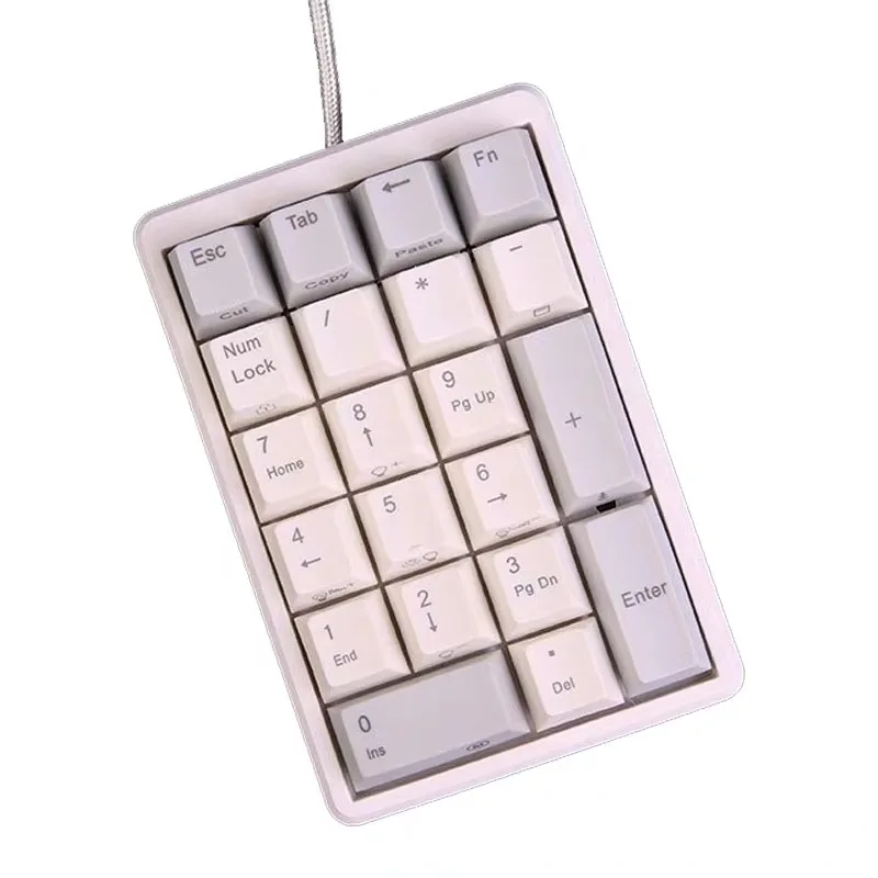 NIZ Static Capacitance Numeric Keyboard Plam 21 Key Wired Color Mixed Light 35g/45g Hot Swap Capacitive Button Office Keyboard