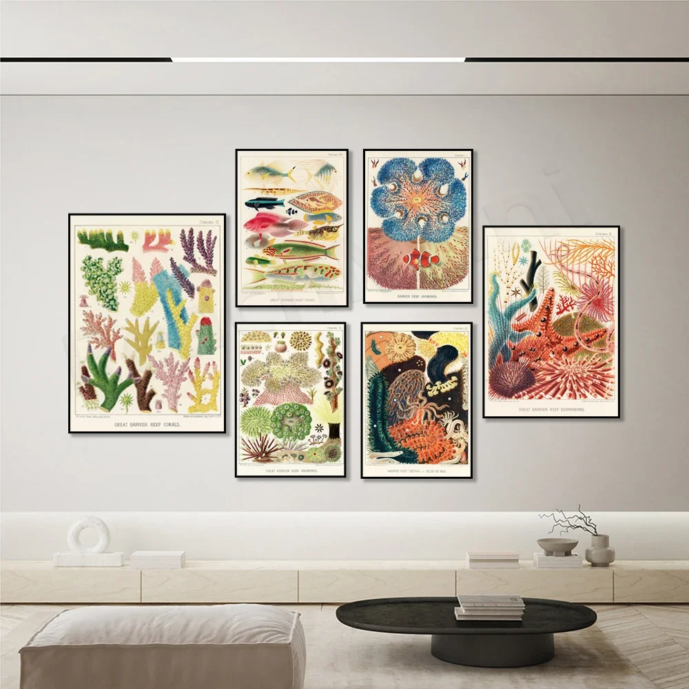 William Savile-Kent, Great Barrier Reef Echinoderms, Anemones, Australia, Wall Art Poster - Marine Life Theme