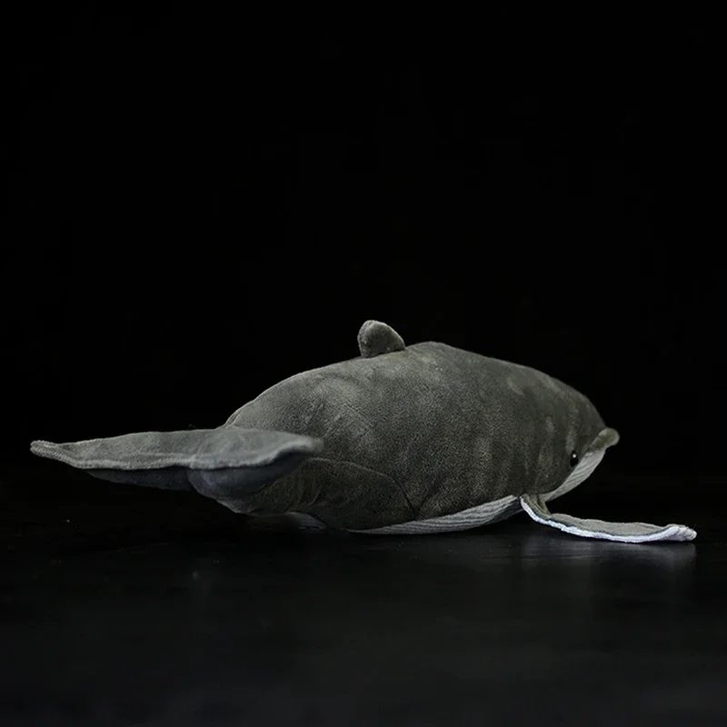 40cm Lifelike Great Balaenoptera Stuffed Toy Soft Fish Plush Toys Simulation Ocean Animal Toy Christmas Rorquals Gifts For Kids