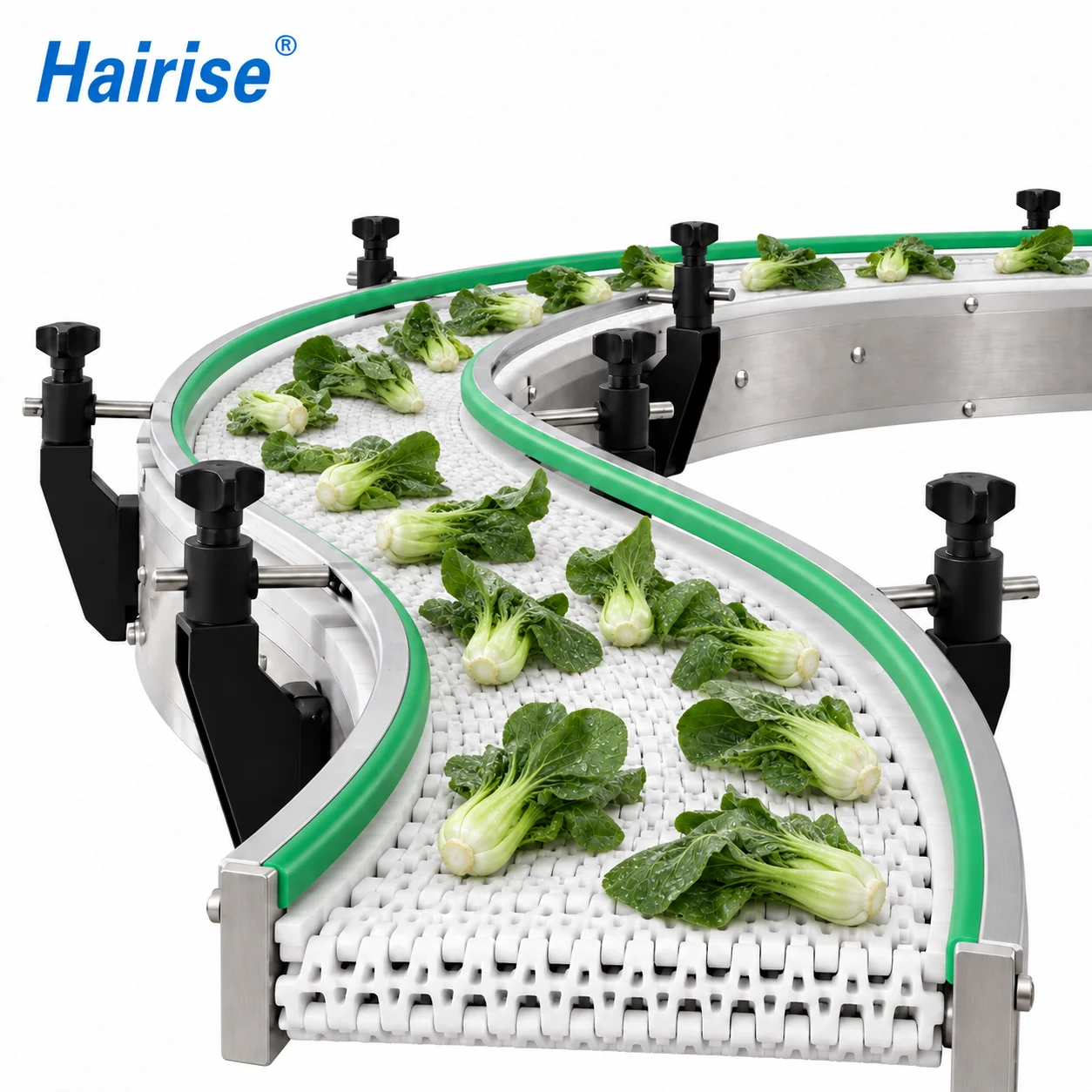 Plastic Modular Belt Conveyors Easy to Clean Durable and Flexible for Food and Packaging Conveyor Lines