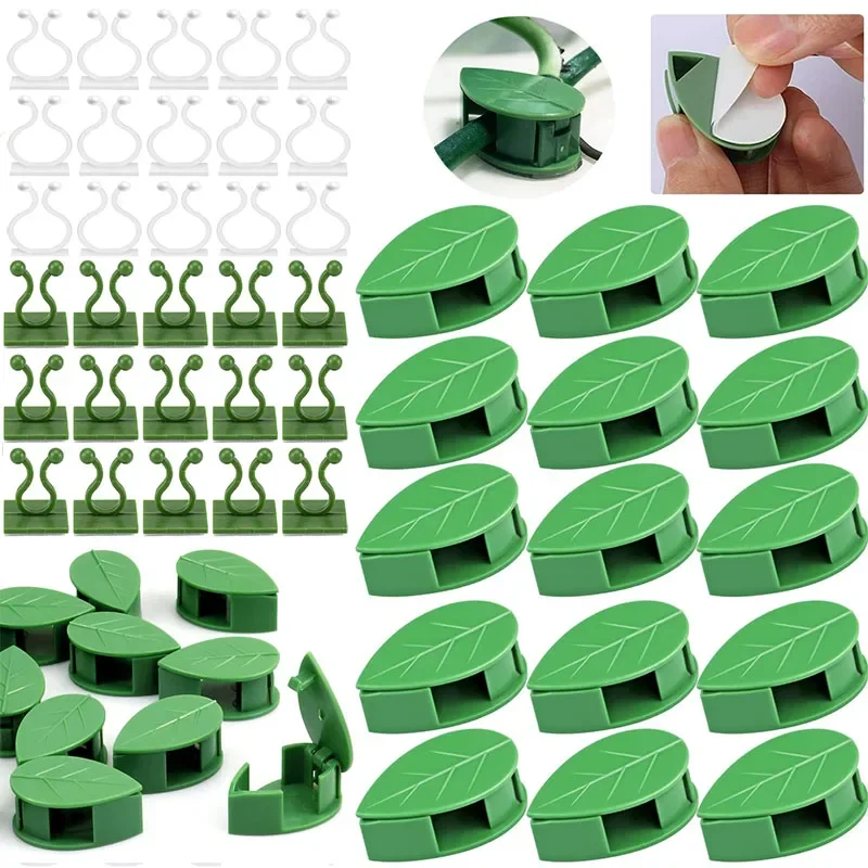 10-50Pcs Plant Climbing Wall Fixture Clips Rattan Clamp Fixator Self-Adhesive Plant Stent Invisible Vine Climbing Fixed Bracket