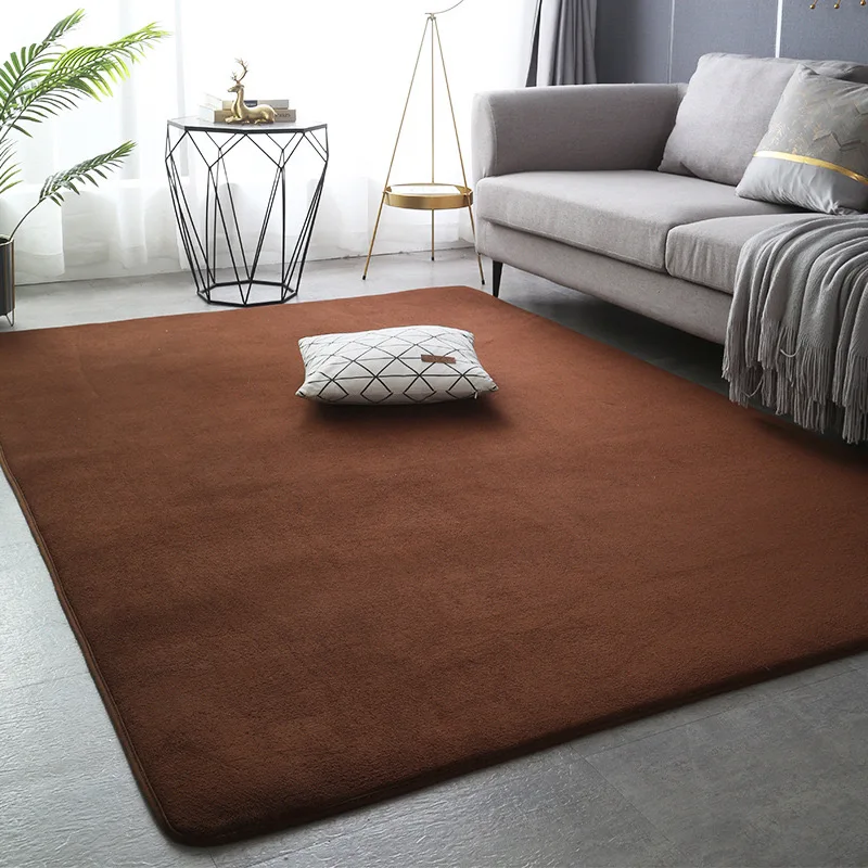 L0518-Simple Carpet Living Room Cream Wind Long Hair Home Use