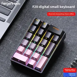 Forgeant F20 Digital Mechanical Keypad Mini Keyboard RGB 20 Keys Wired for Accountant Laptop External Portable Financial Office