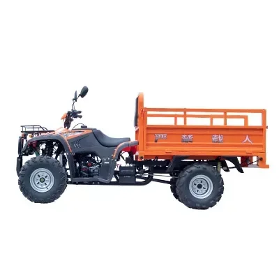 High Power 250cc 4X4 Drive Adult Gas Quad Vehicle off-Road atv utv Quad Gasoline cuatrimotos farm Atv