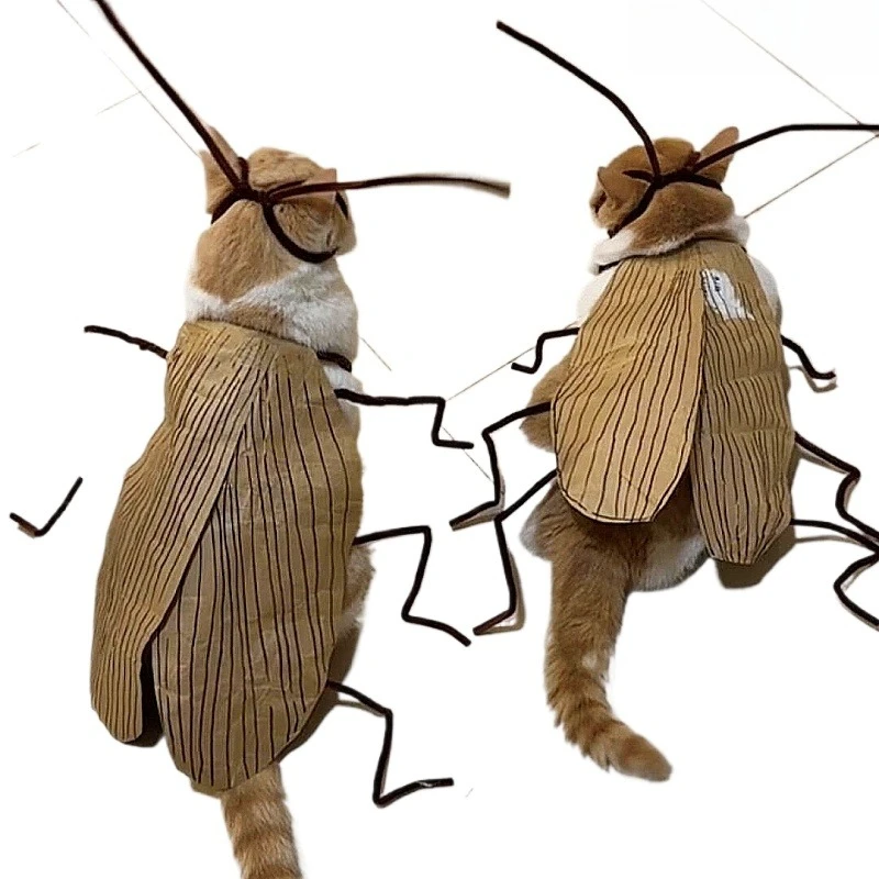 

Pet cockroach clothes dress up handmade DIY non-woven twist stick material package