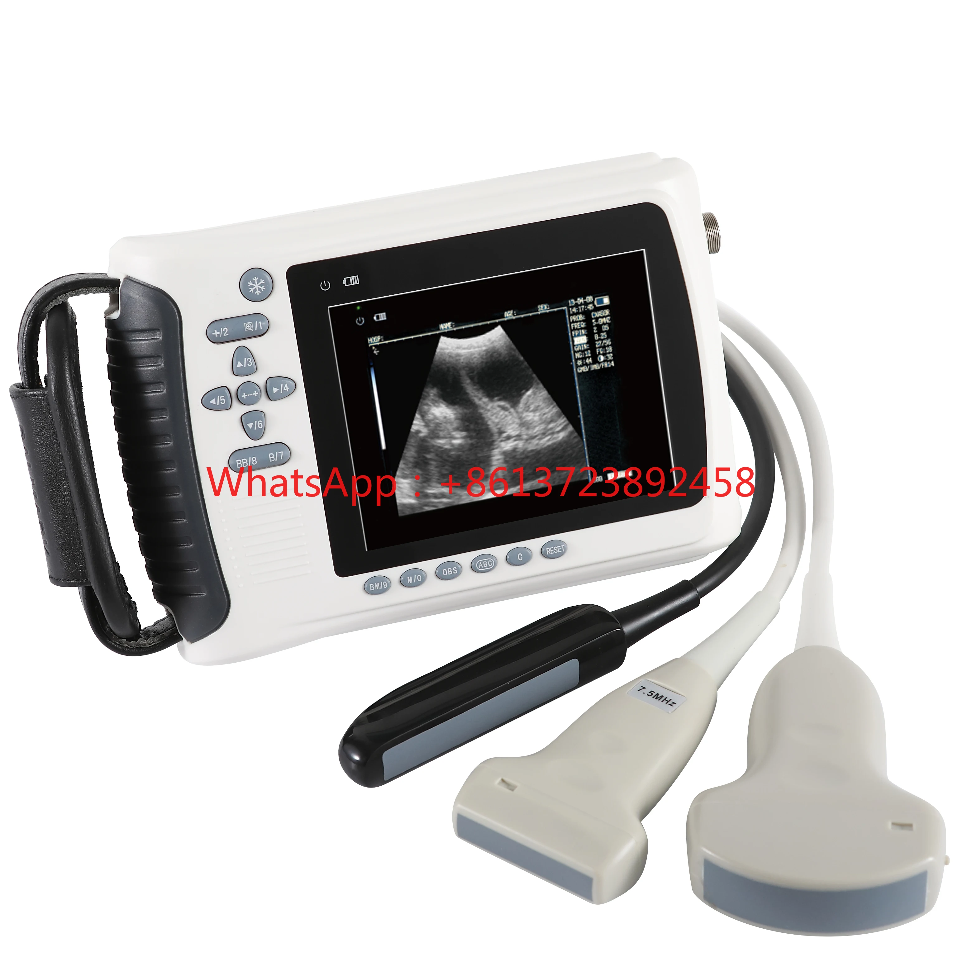 

MT Medical Ready To Ship Portable Animals Ultrasound/ Veterinary Ultrasound Machine/vet Handheld Ultrasound Scanner