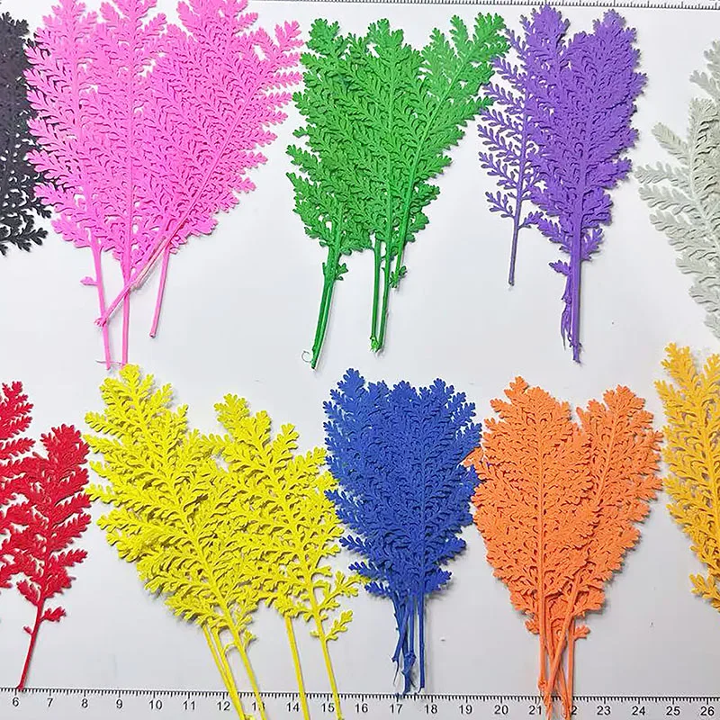 

100Pcs Natural Silver Feather Leaves Dyed with Color, Pressed Flowers for Paper Making, DIY Craft Material Kit, Resin Phone Case, Pressed Flower Handmade Bookmarks, Plant Specimens, Dried Flower Photo Frame Stickers