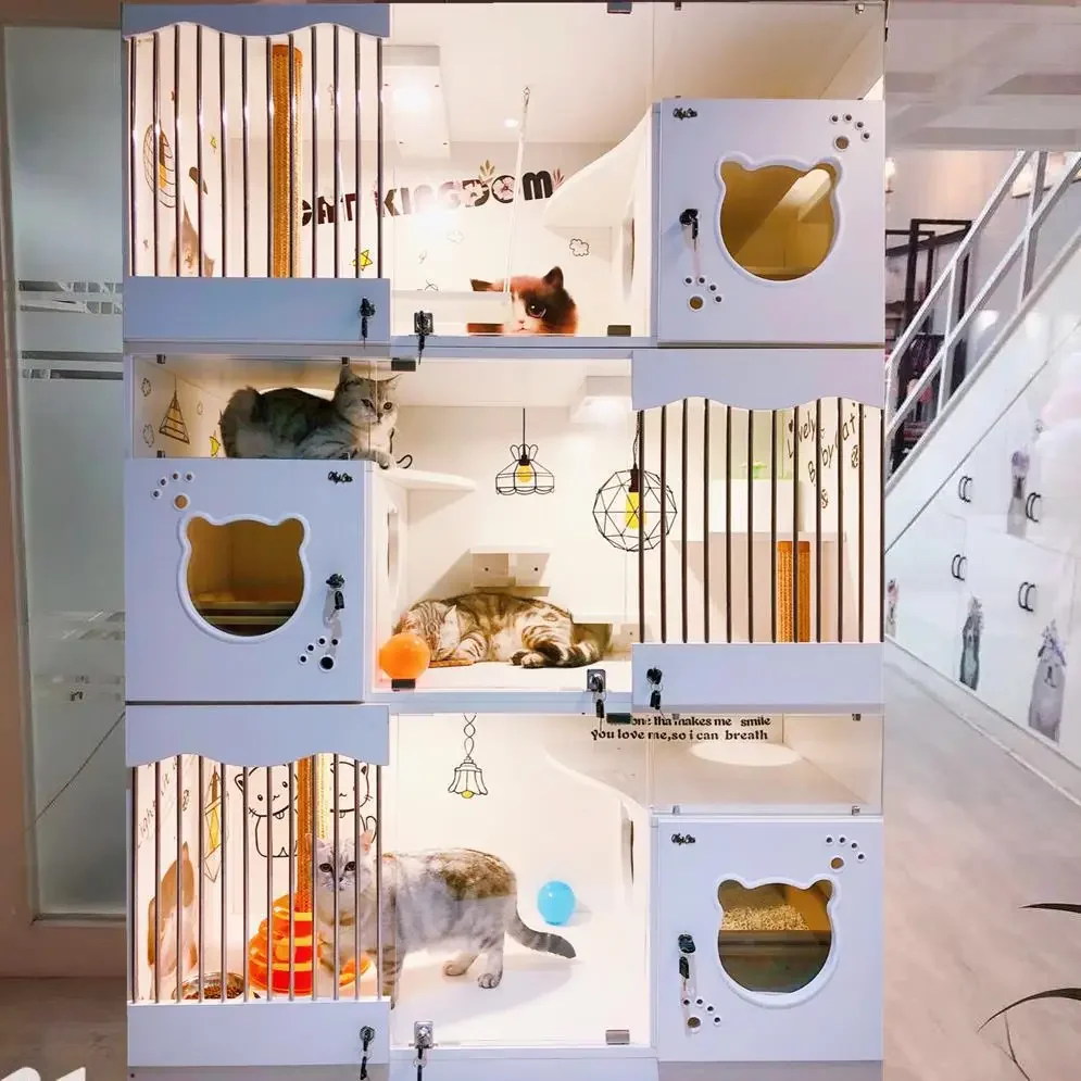 Tienda de mascotas, villa para gatos, mueble de café de madera maciza para gatos, casa Haoqhua, exhibición de cría opaca