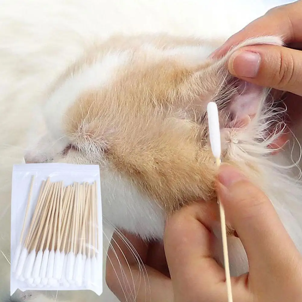 50/100 PCS Cotton Sticks Dog Ear Cleaning Cotton Sticks Dogs Cats Ear Cleaning Stain Removal Pet Ear Wax Removal Cotton Swabs