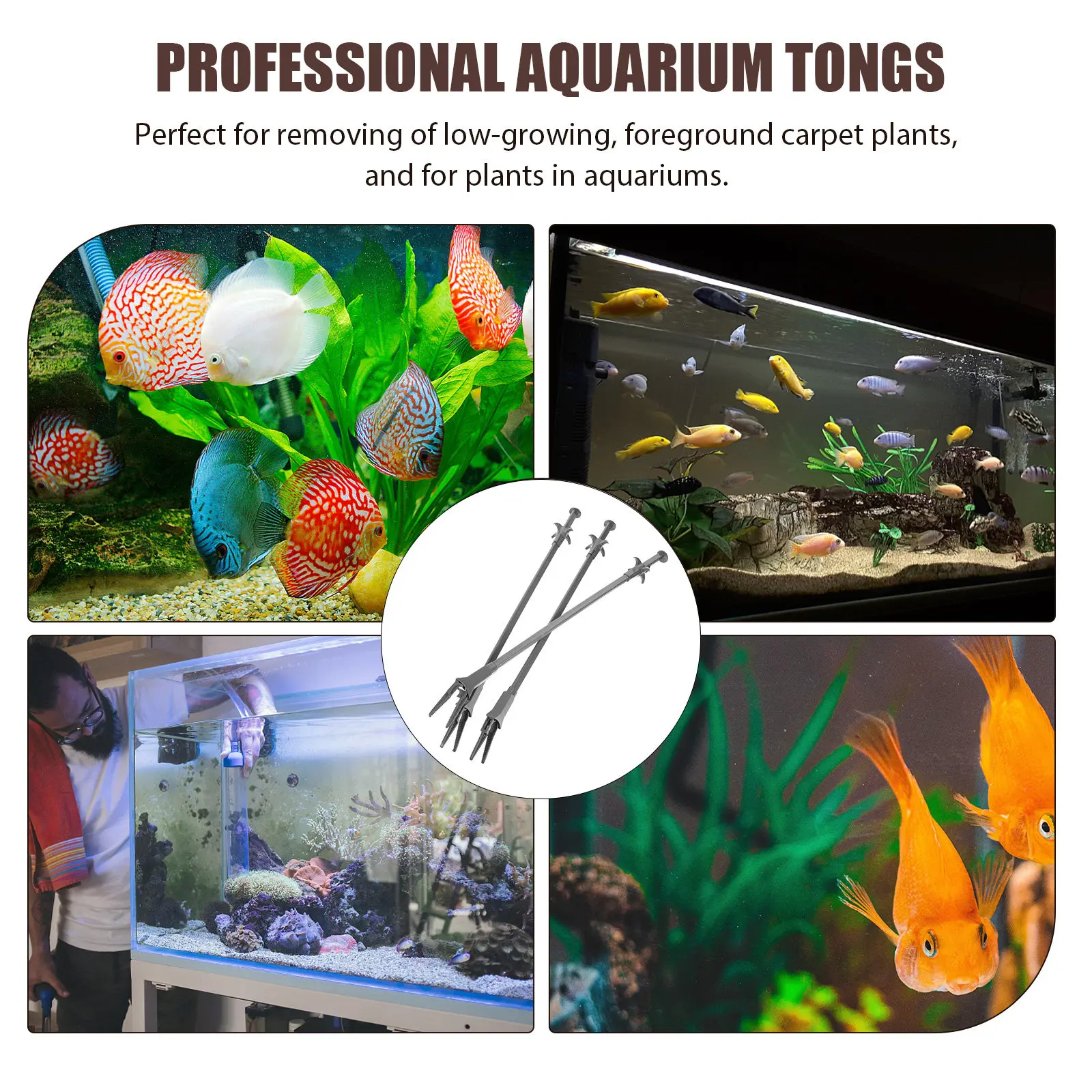 3Pcs Professional Aquarium Ton - Planted Aquarium Carpet Plant ulasan dan harga